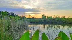 บรรยากาศยามเย็น