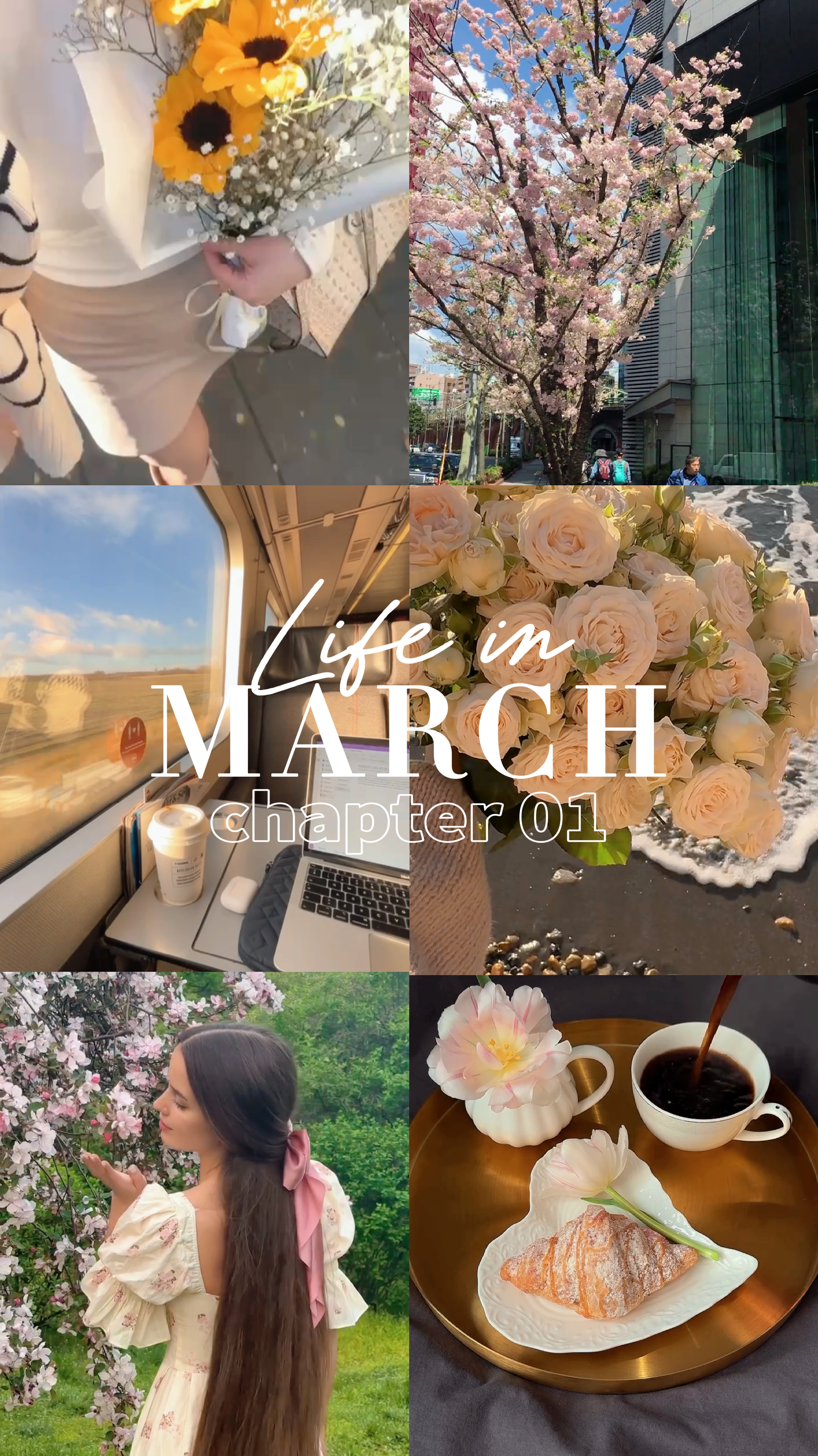 march dump
