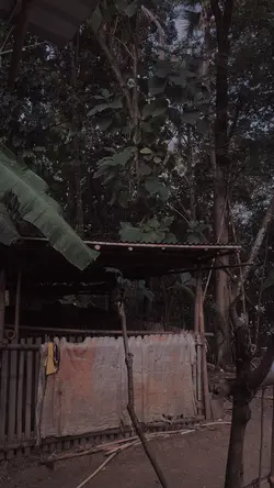 Horor jawa
