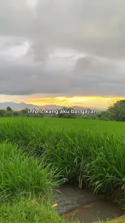 INPO LC KANG