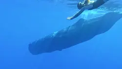 6 video aesthetic 