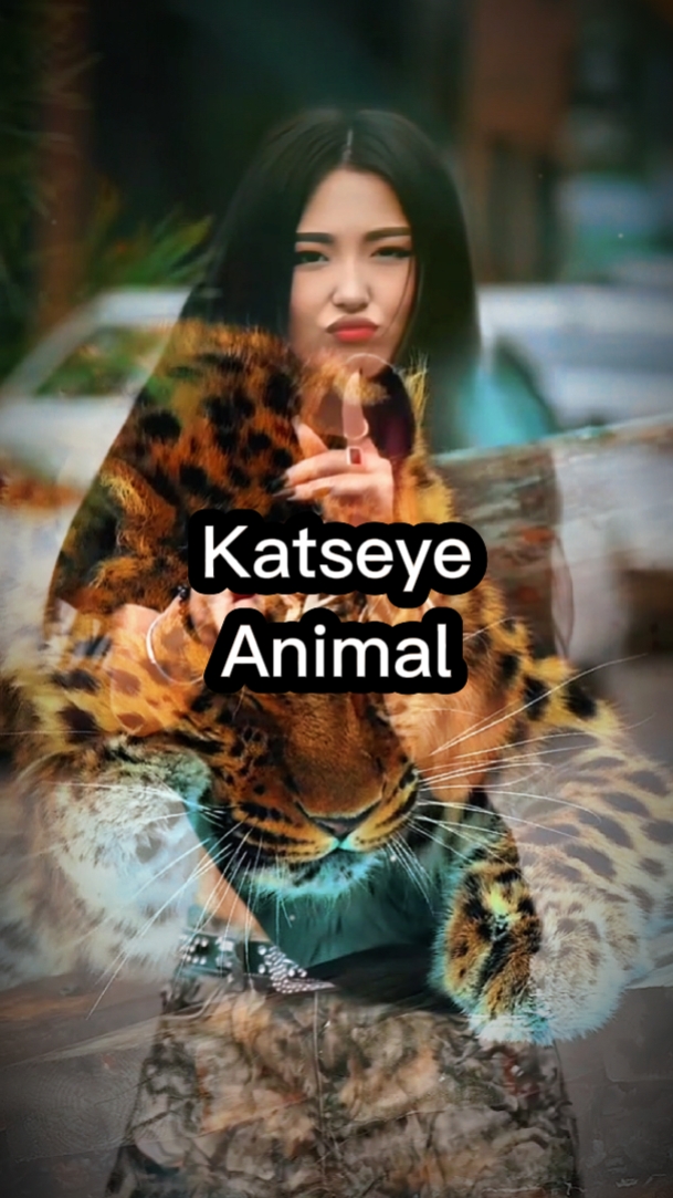 Animal