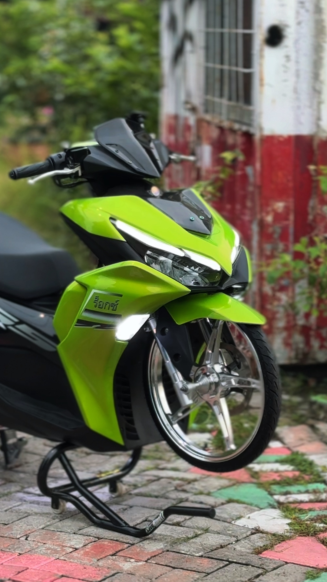 Cover Picture