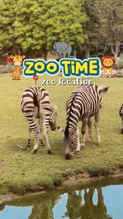 Zoo time