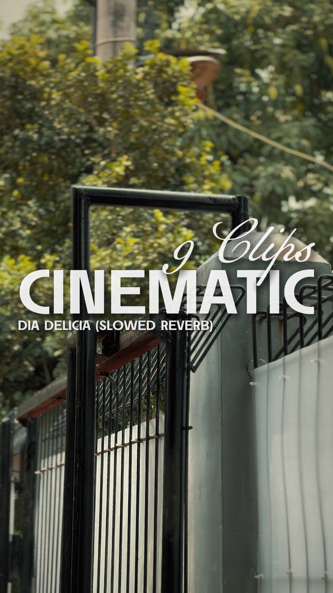 DIA DELICIA SLOWED  