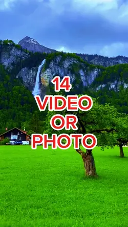 14 video or photo
