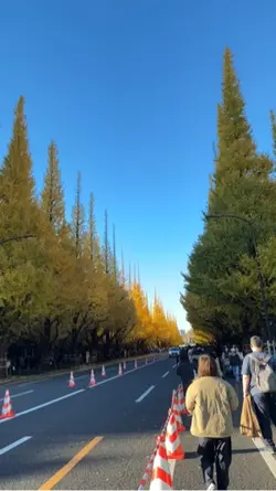 秋紅葉