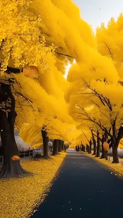 Happy Autumn
