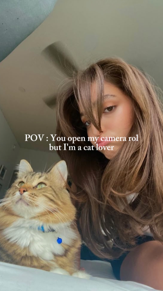 Pov: Ich bin ein Katzenliebhaber