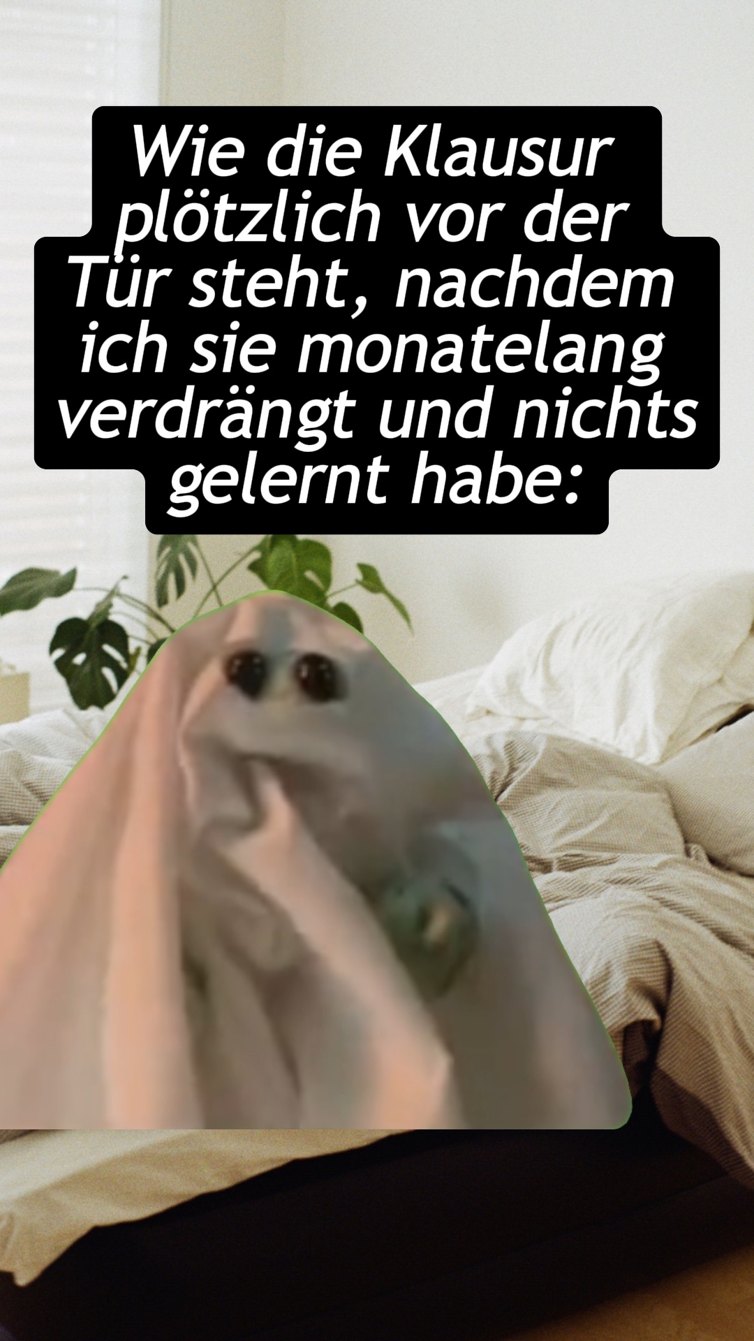 Booo Meme 👻 