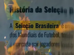 TREND BRASIL🇧🇷🫶🏼