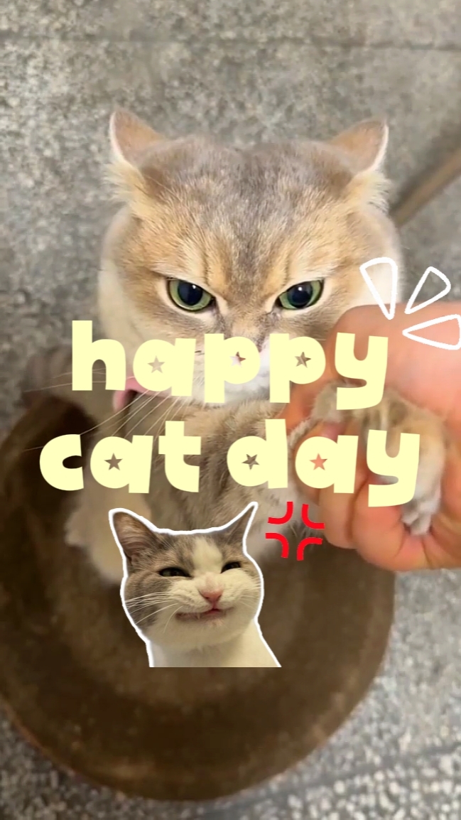 Dia do gato