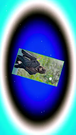 চোখেরি কাজল করে রাখি