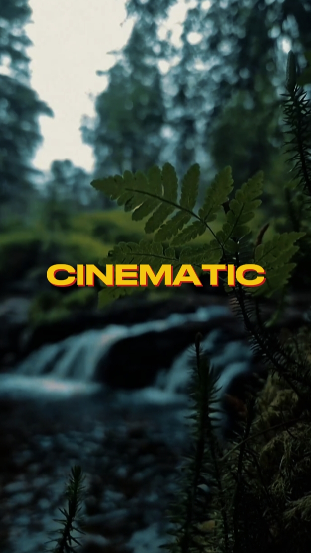 CINÉMATIQUE 7 CLIPS