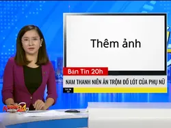 Mẫu 1 ảnh Troll