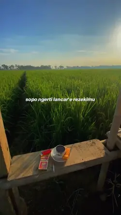 Lancare rezekimu
