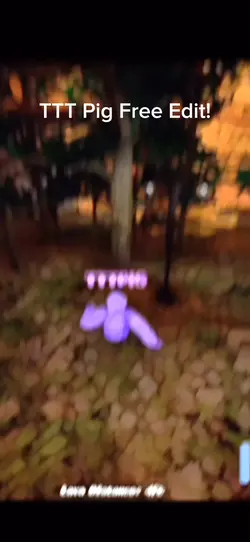 TTTPig Edit