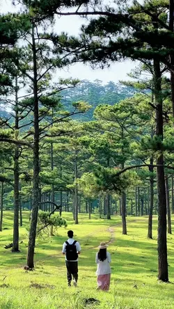 Menua bersama anggis