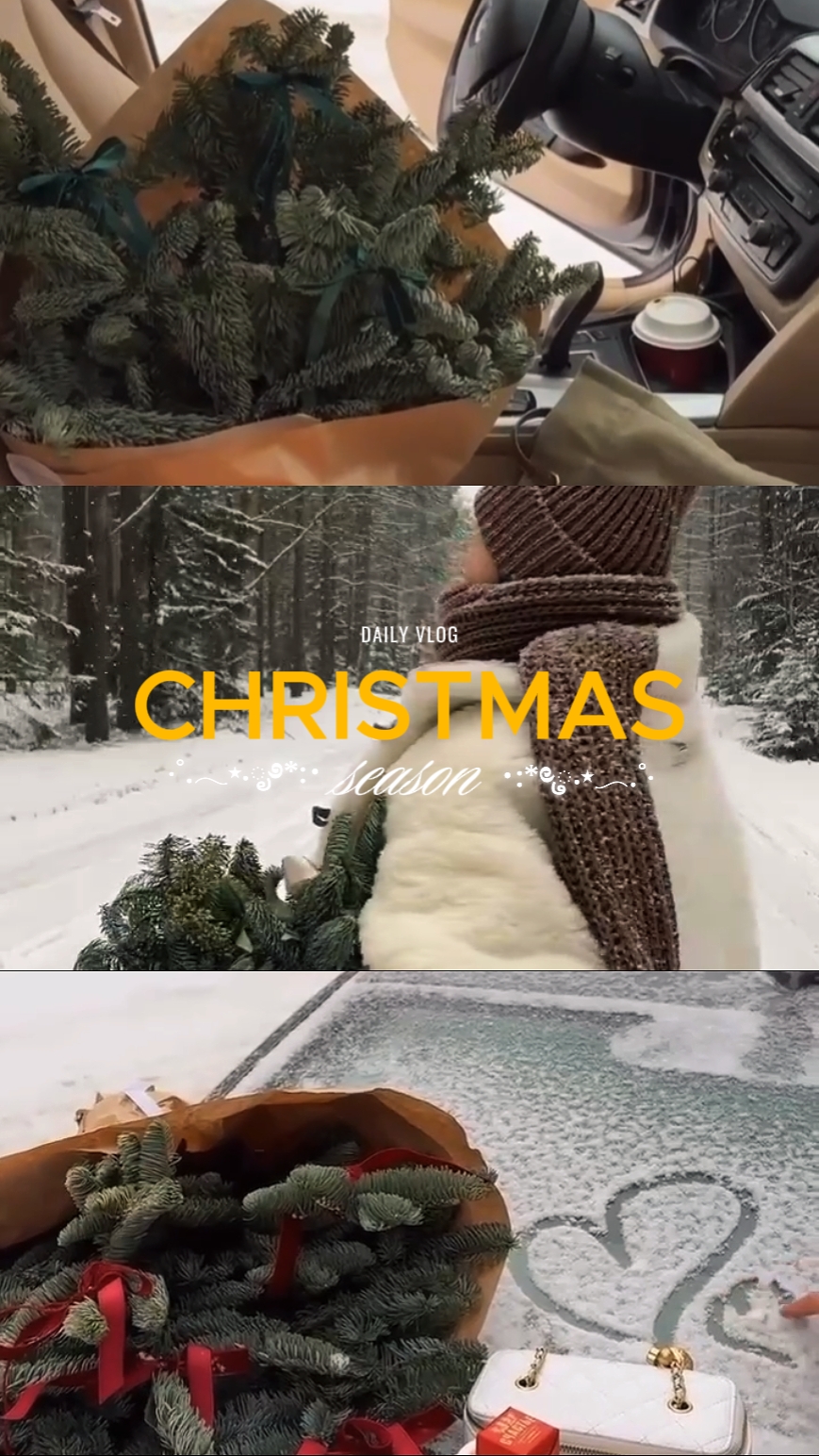 TEMPORADA DE NAVIDAD 