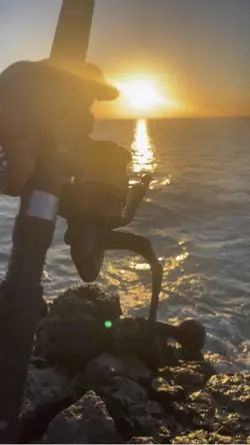 Fishing in the sunse