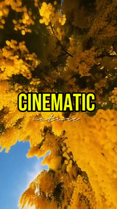 CINEMATIC NATURE 