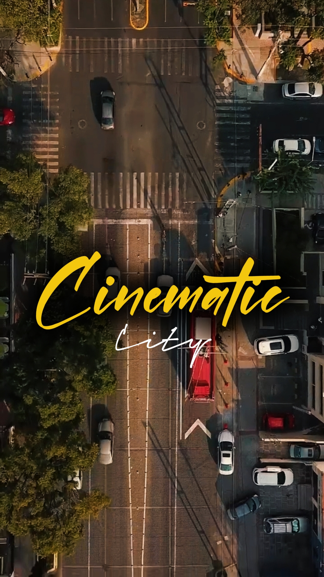 8 Clips Cinématique