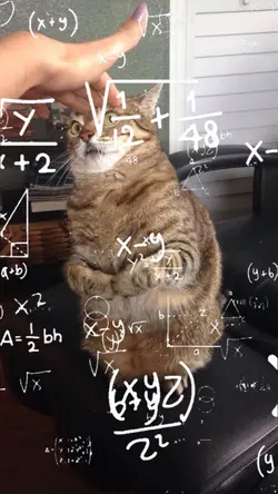 math meme