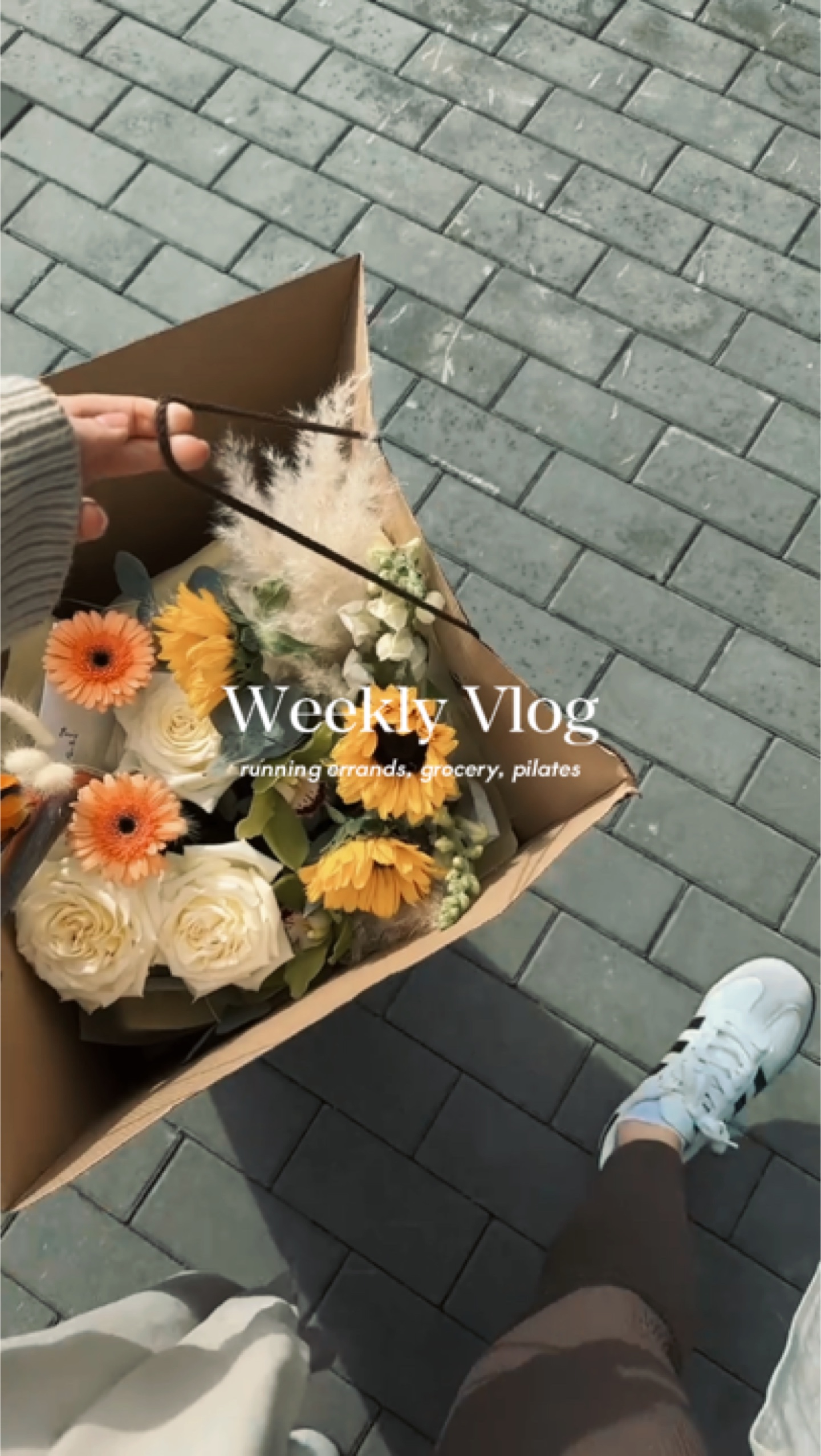 Wöchentlicher Vlog