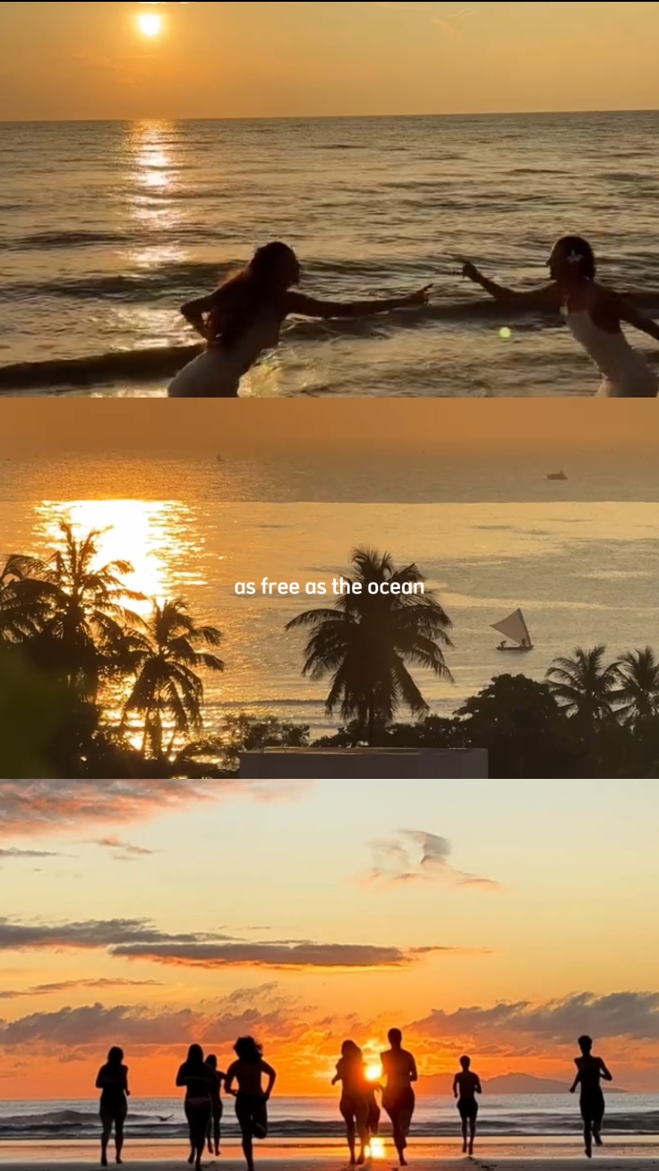 3 grid video