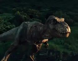Dino Roar 