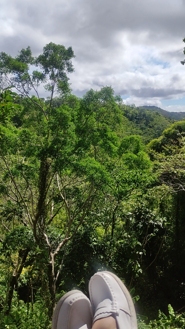 God's creation 