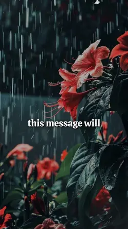 the message will