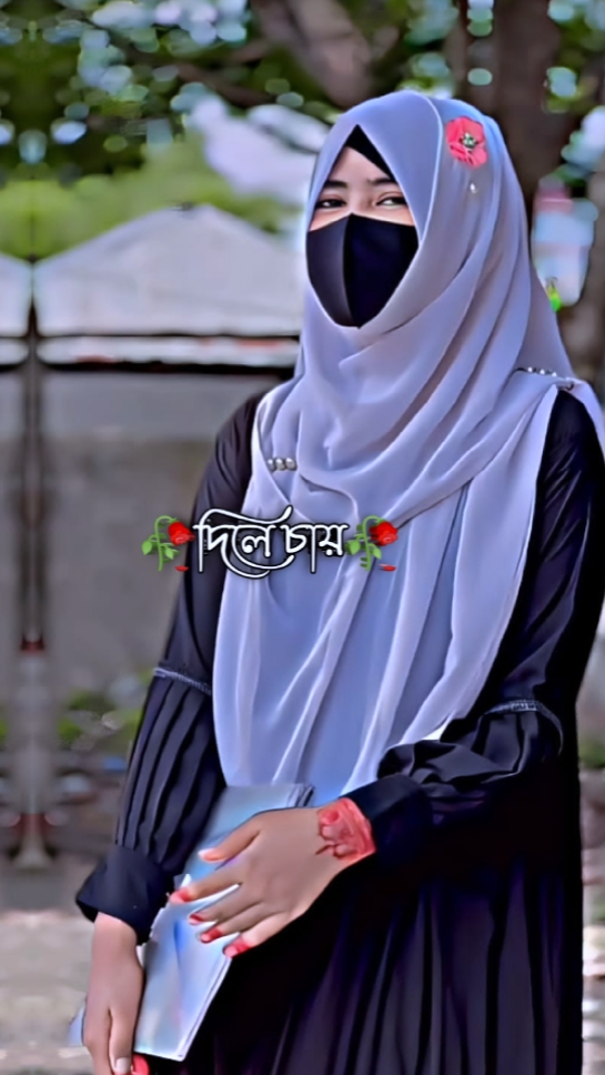 Ariful Islam Arif 
