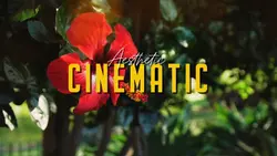 AESTHETIC CINEMATIC 
