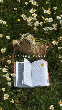 spring vibes