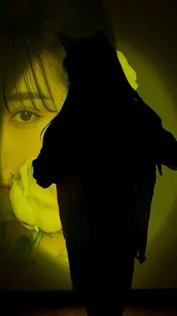 影子舞蹈