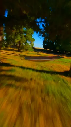 i'm so in love w you