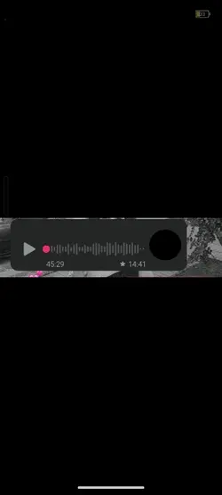 audio di 45m.