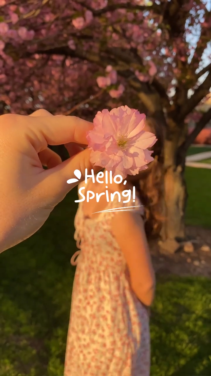 hello spring