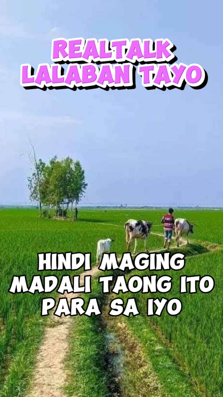 Lalaban tayo lagi