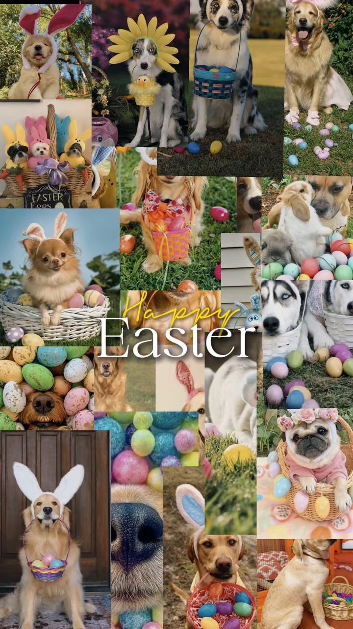 Felices Pascuas