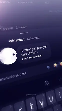 ROMBONGAN PLENGER