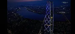 생존신고