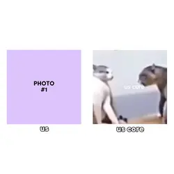 us core ver cat