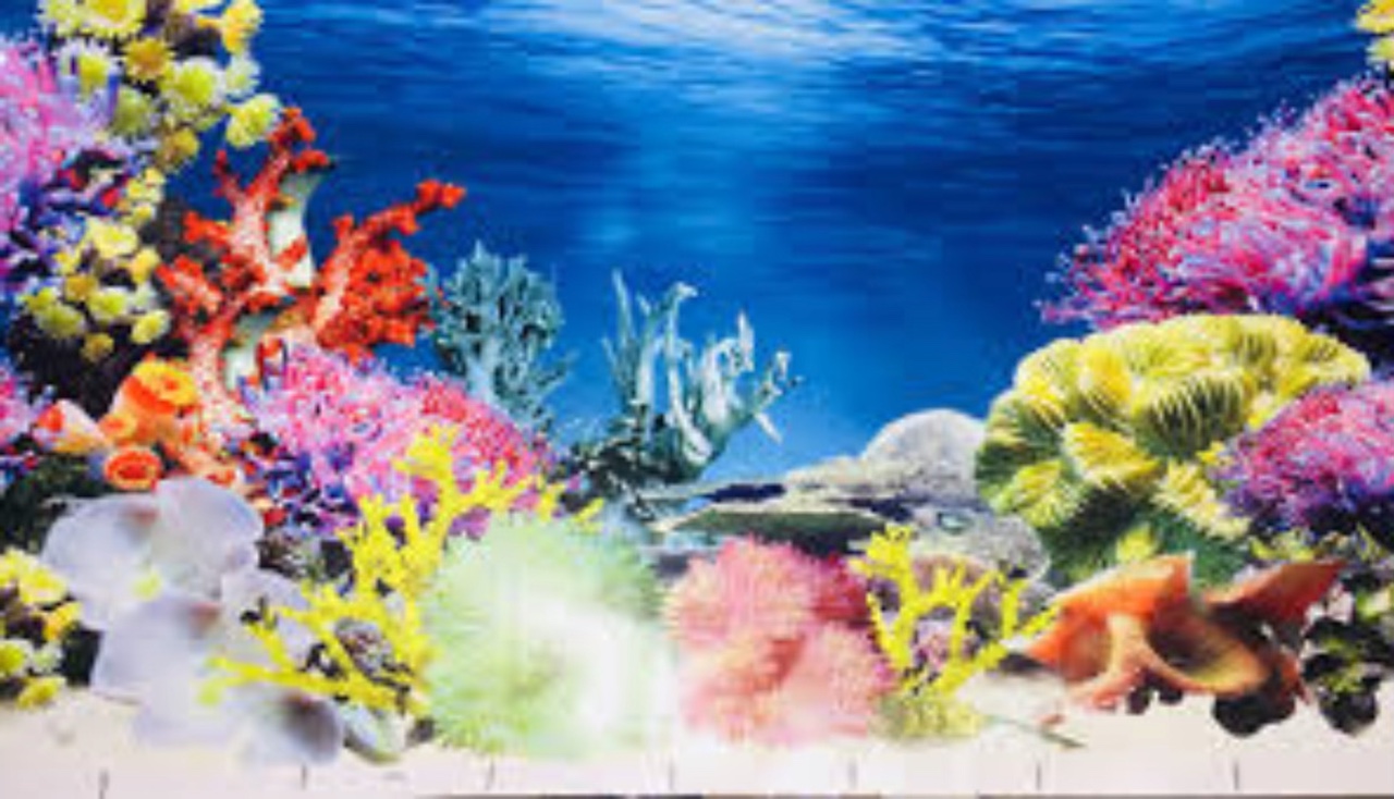Underthesea