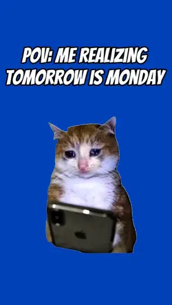 Not just monday