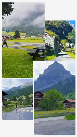 4 clips video kolase