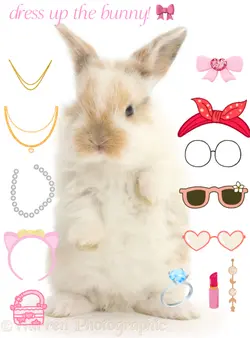 Dress the bunny!