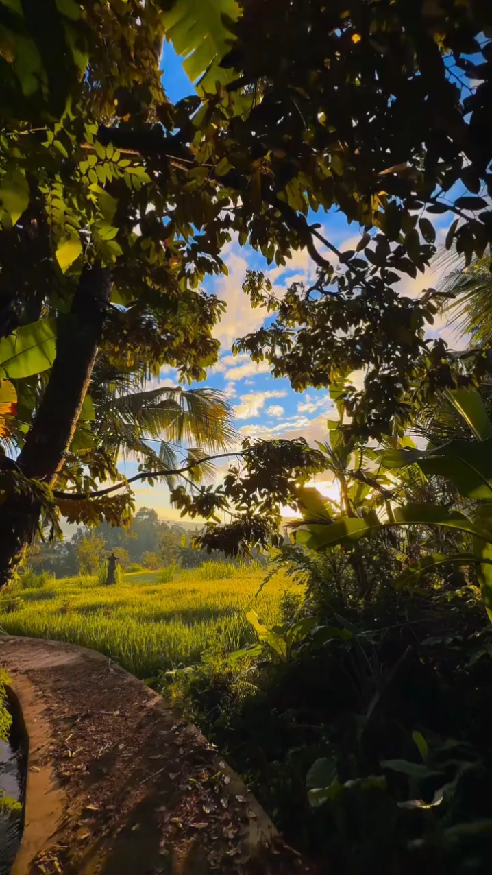 Cinematic