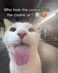 OH YEAHH !! template